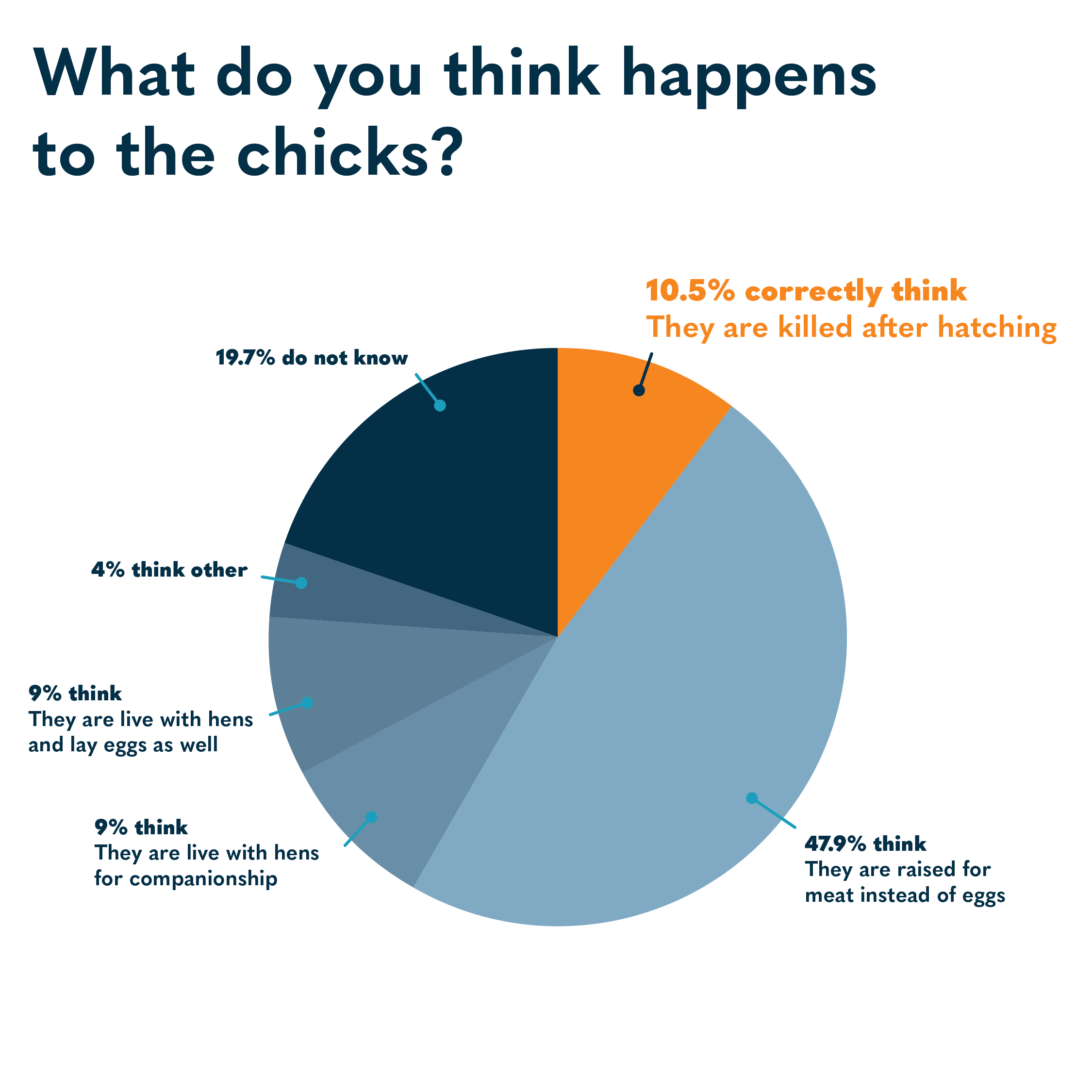 ChicksTreatment.png